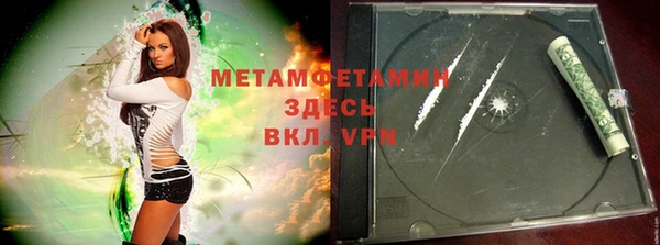 шишки Верея