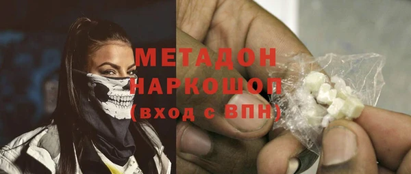 шишки Верея