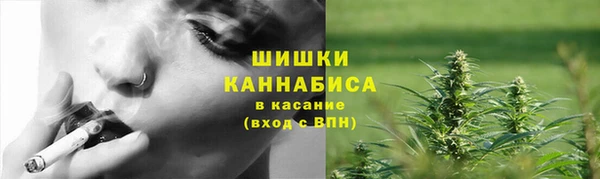 шишки Верея