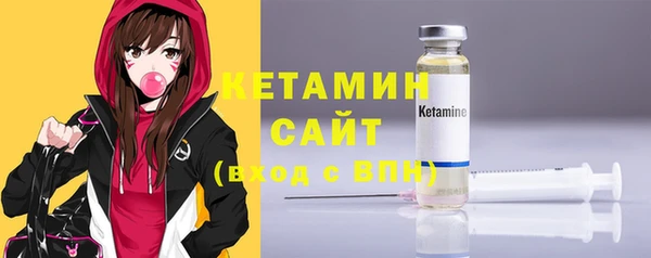 шишки Верея