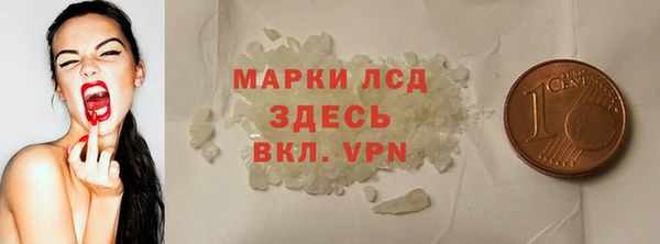 шишки Верея