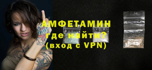 шишки Верея