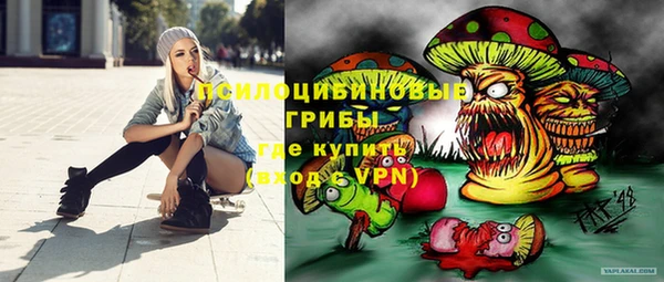 шишки Верея