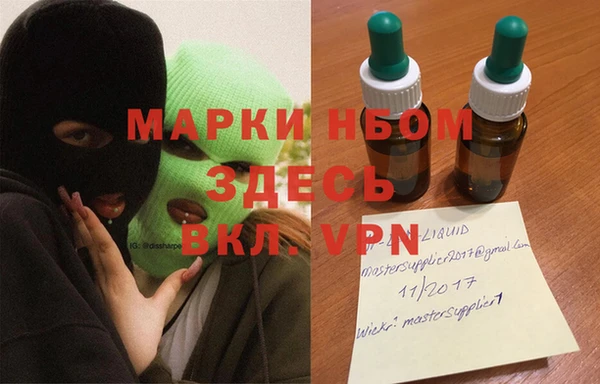 шишки Верея
