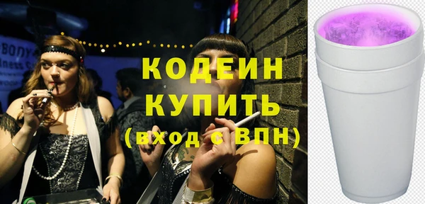 шишки Верея