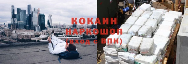 шишки Верея