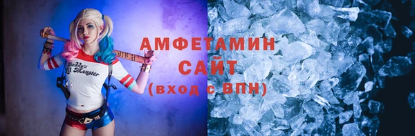 шишки Верея