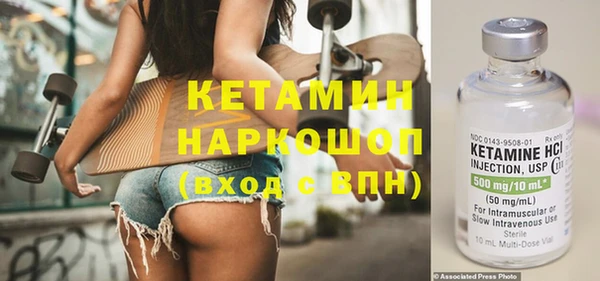 шишки Верея